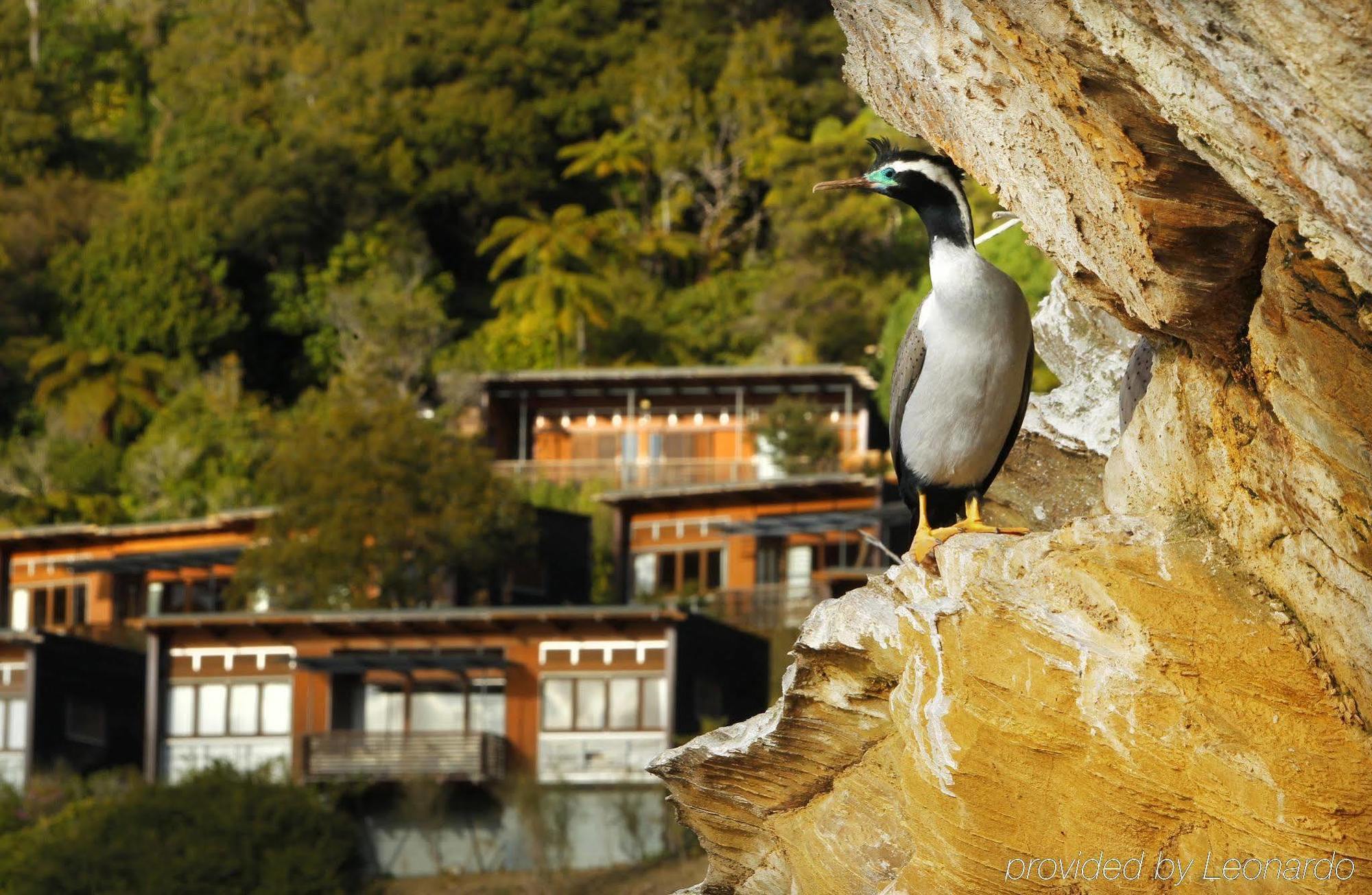 千洞湾度假酒店 Arthur's Bay 外观 照片
